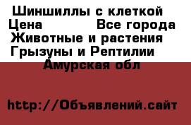 Шиншиллы с клеткой › Цена ­ 8 000 - Все города Животные и растения » Грызуны и Рептилии   . Амурская обл.